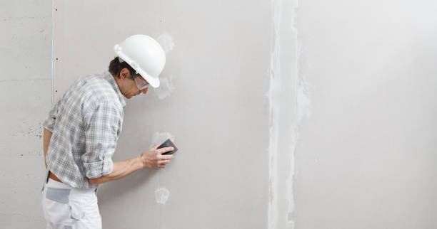 Best Wallpaper Removal and Painting  in Hazel Crest, IL